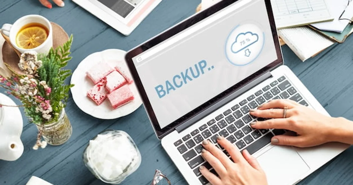Como fazer backup de um site WordPress?