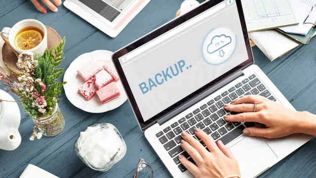 Como fazer backup de um site WordPress?